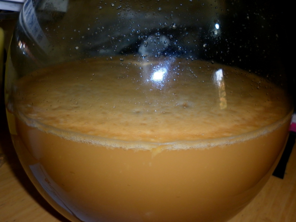 Risultati immagini per fermentazione sidro di mele